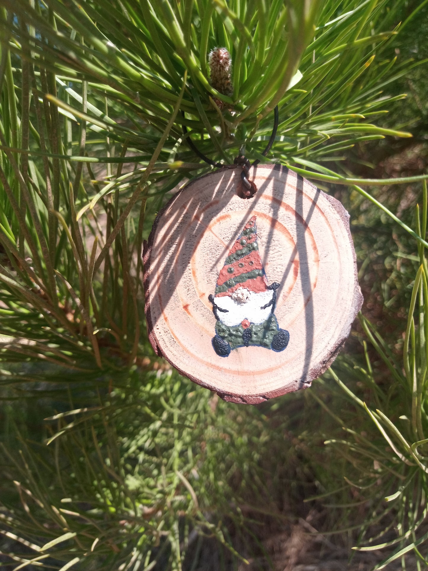 Os Gnomes