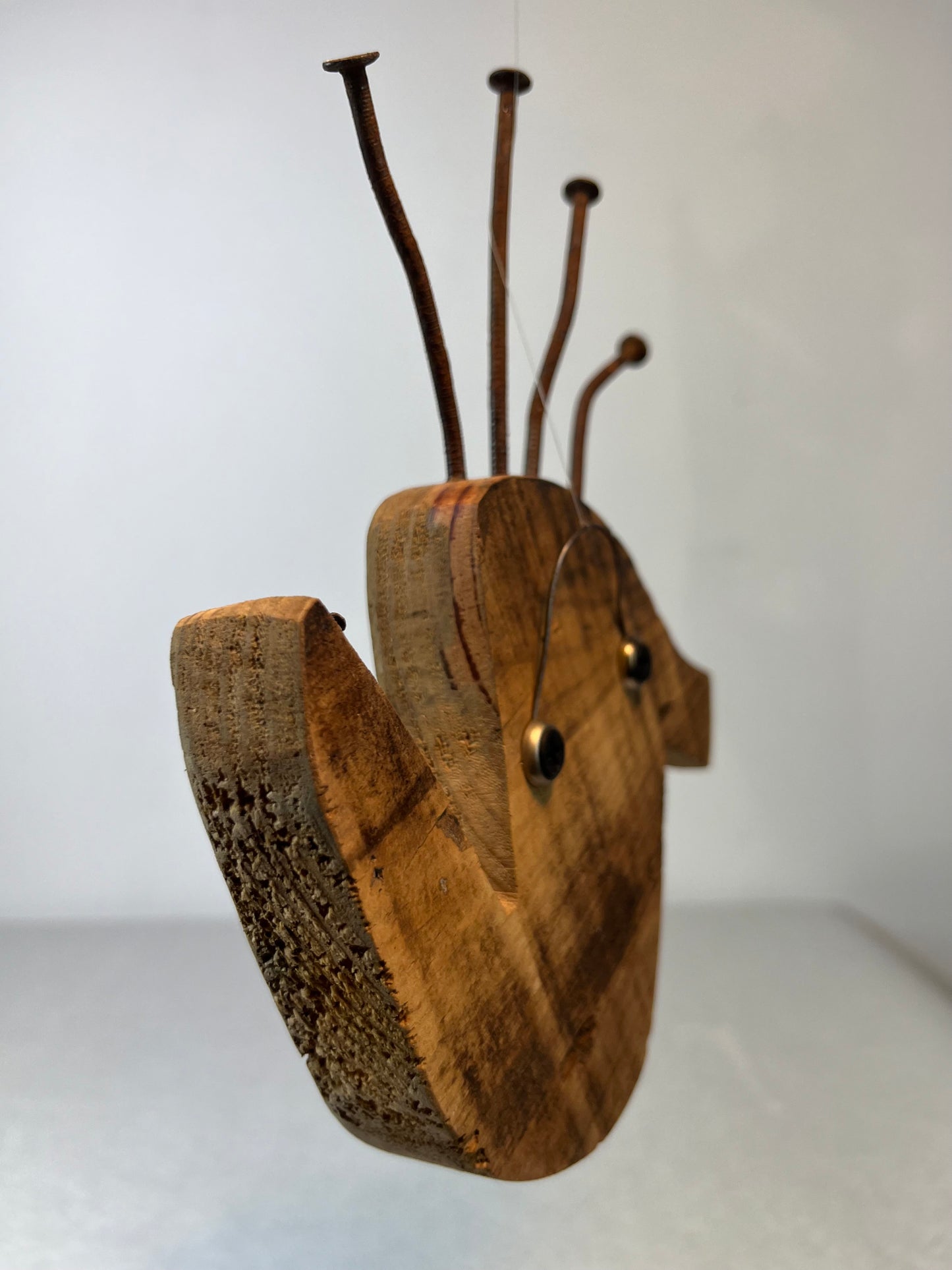Peixe Aranha
