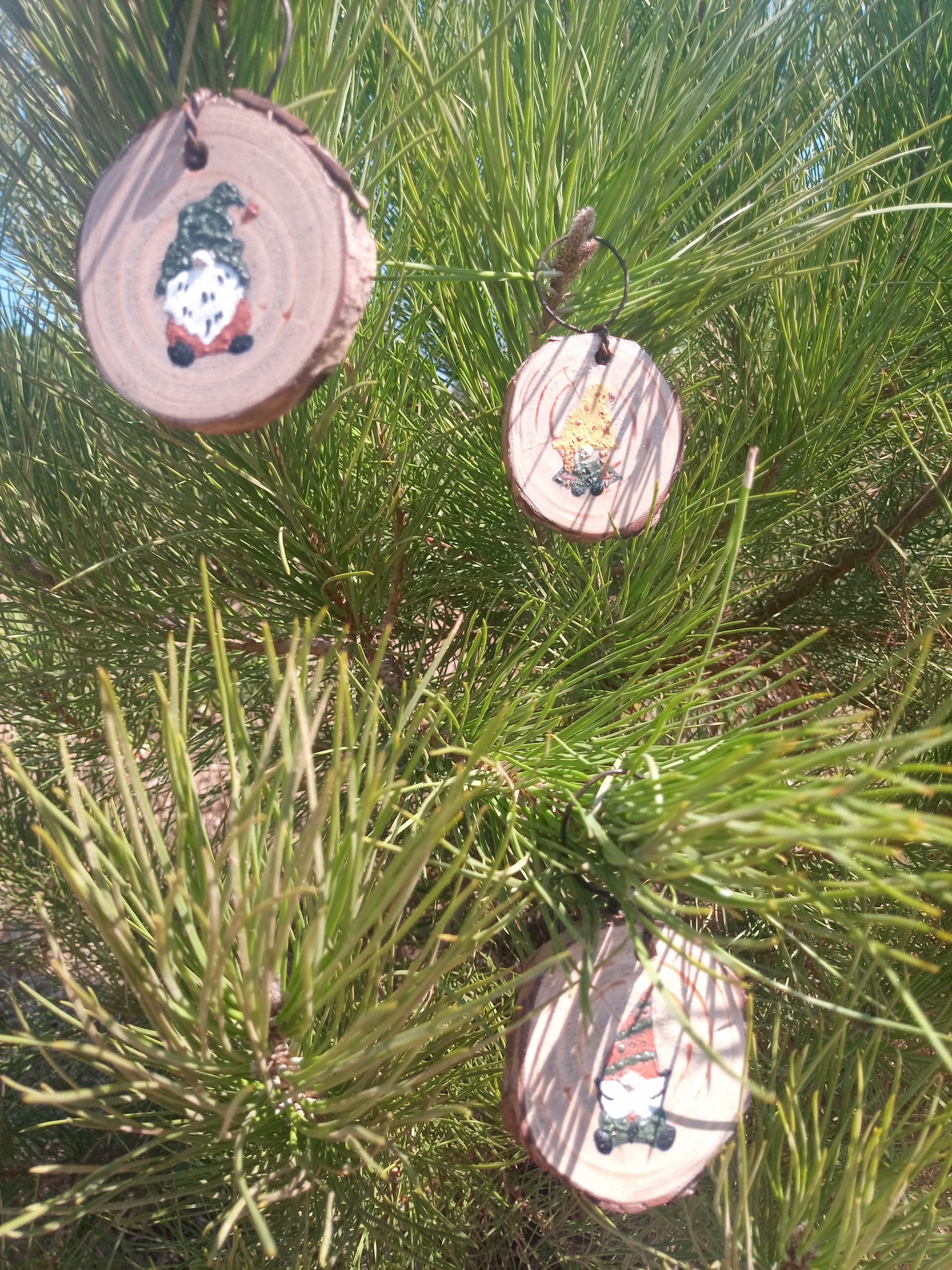Os Gnomes