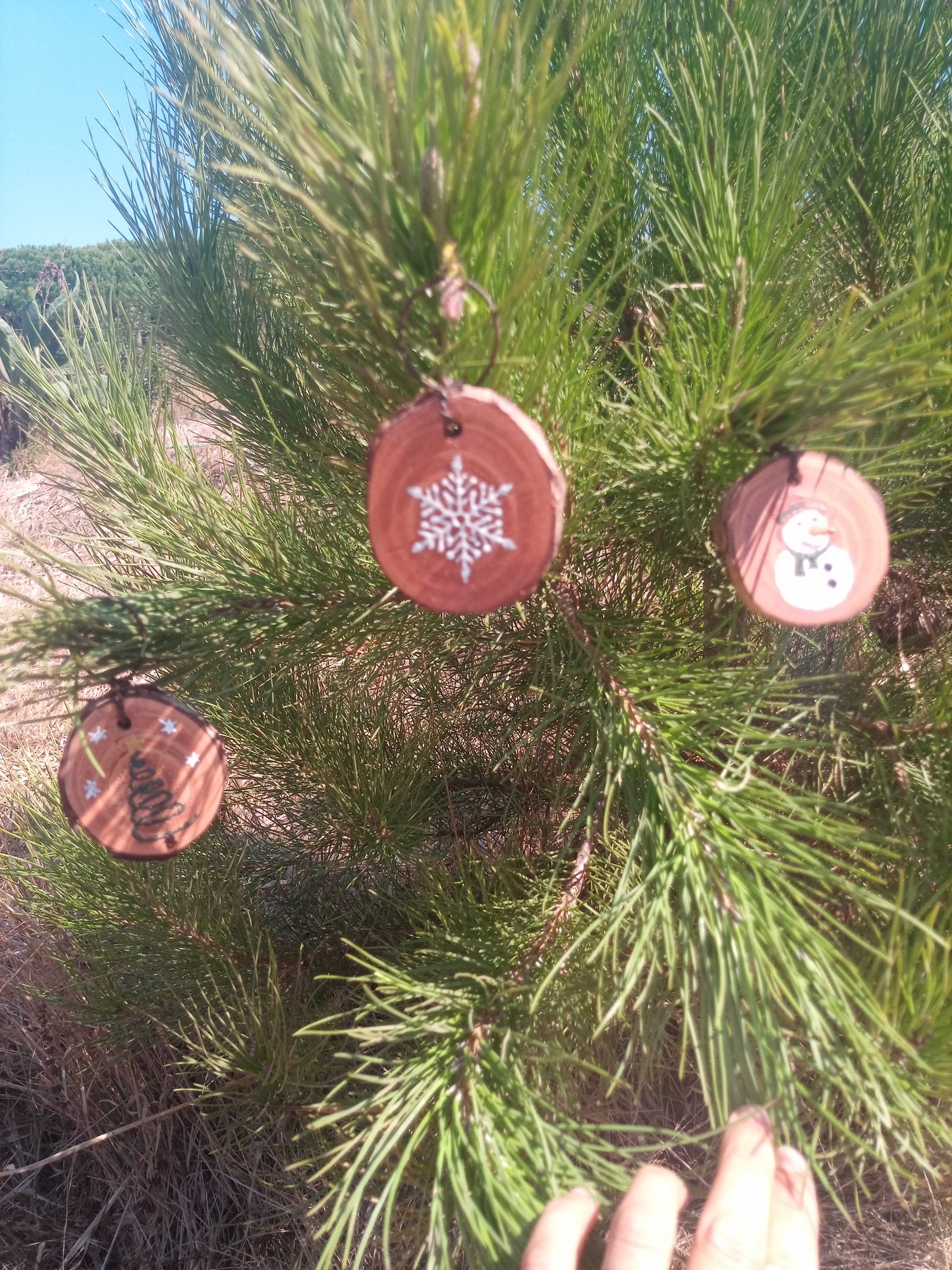 O boneco de Neve, o Floco de Neve e a Árvore de Natal