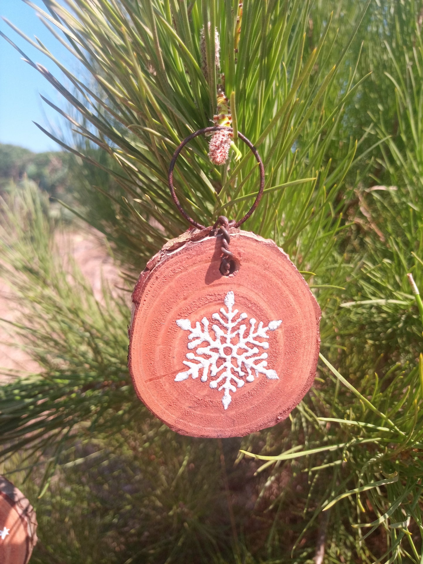 O boneco de Neve, o Floco de Neve e a Árvore de Natal
