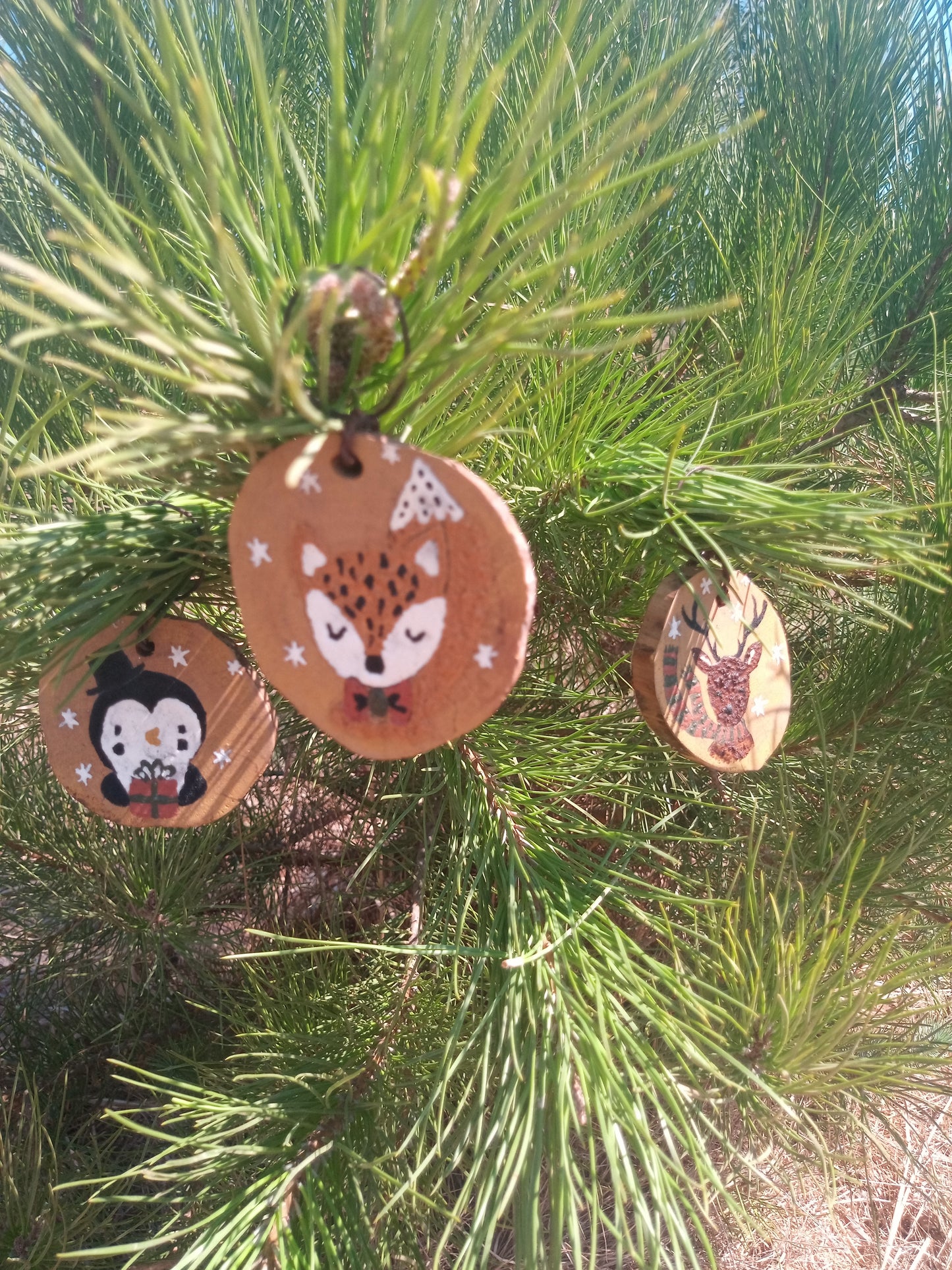 A Raposa, a Rena e o Pinguim