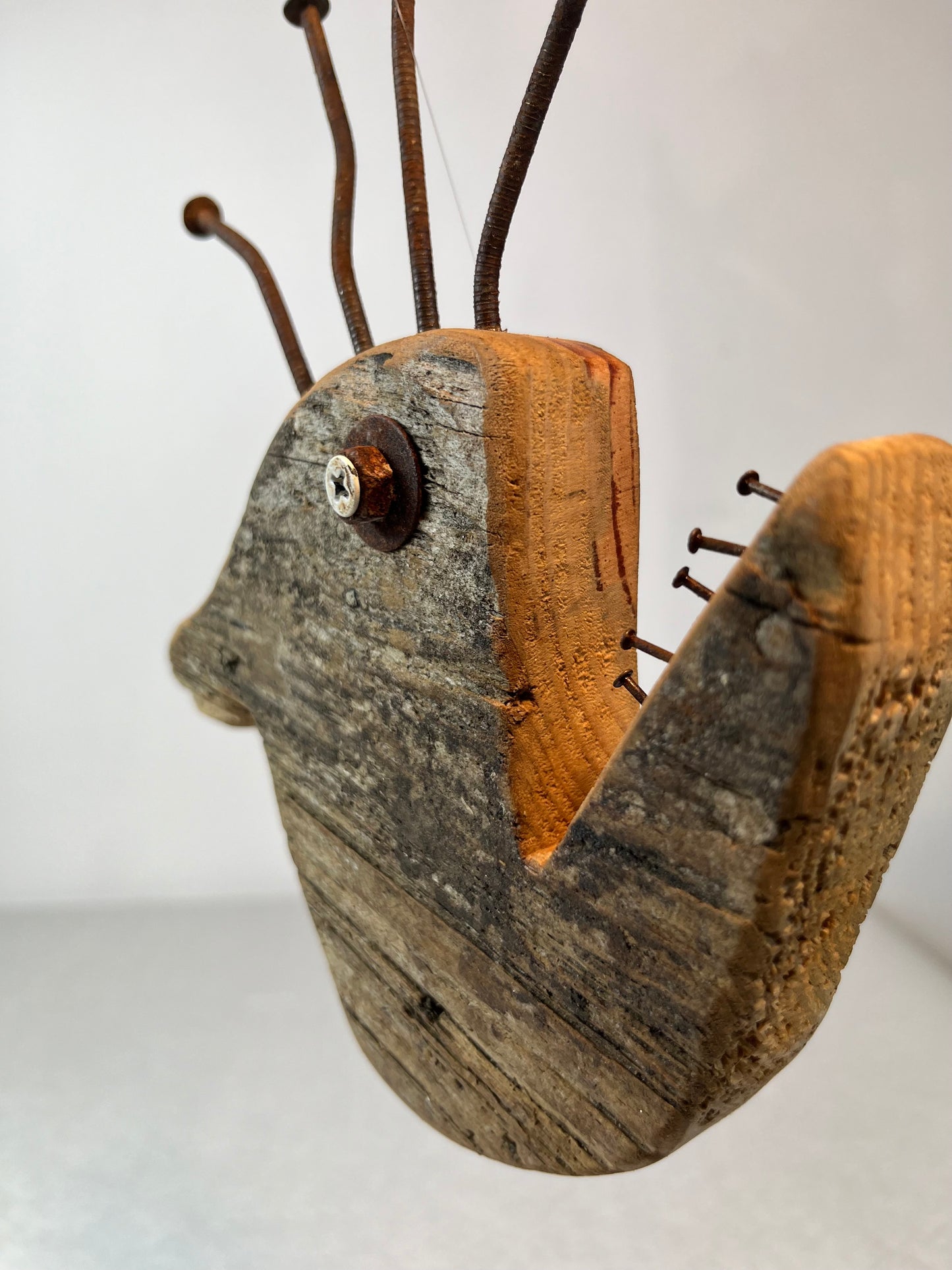 Peixe Aranha
