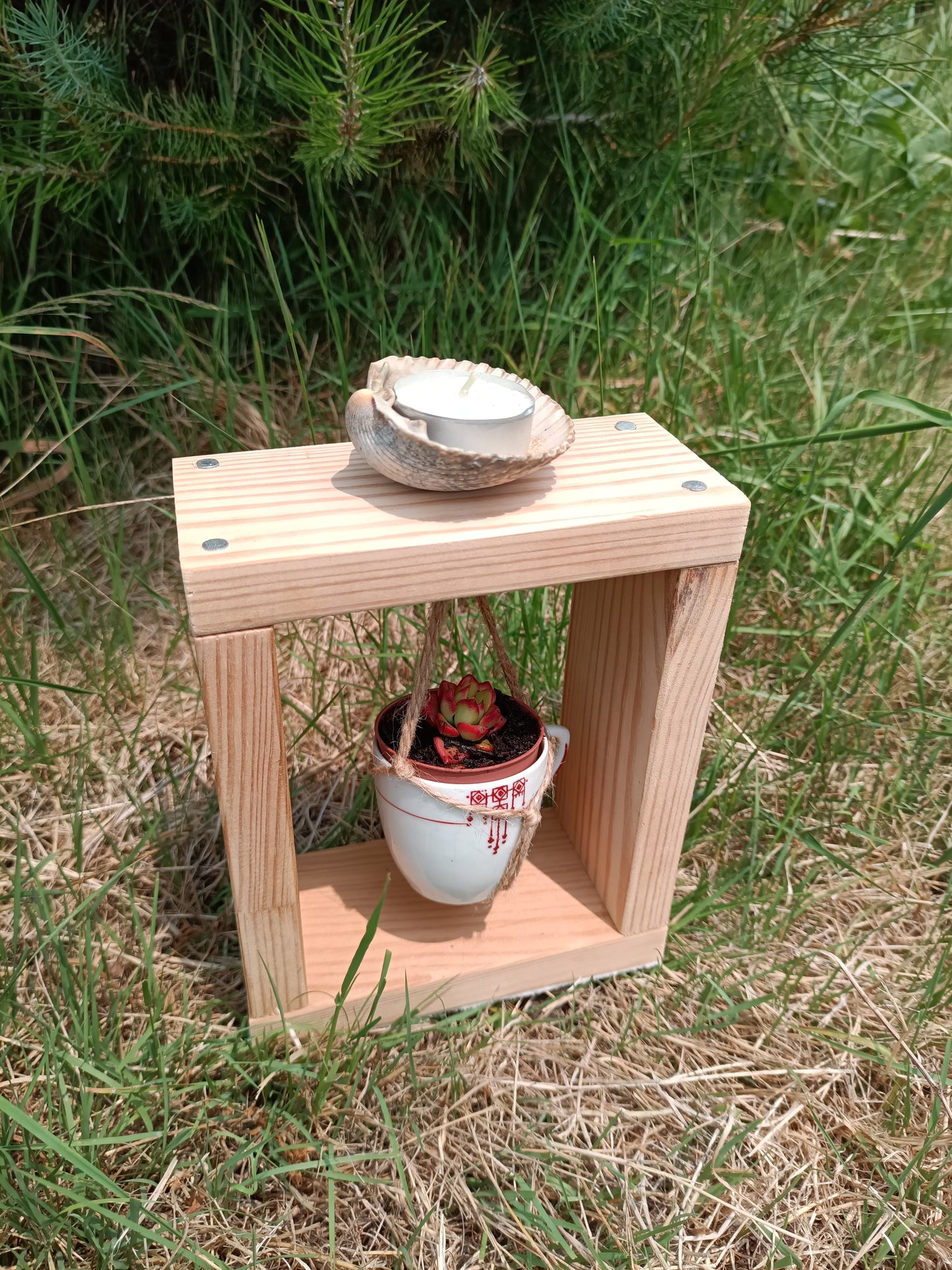 Mini Jardim com Luz